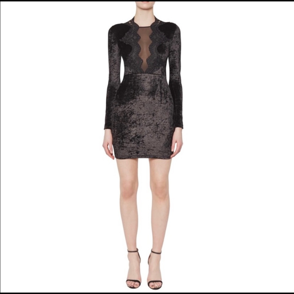 Velvet Lace Eddie Dress by French Connection 2